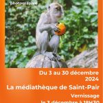 Du 3 au 30 décembre : Exposition photos - "Terimakasih : Retour d'Asie du  Sud-Est" - Médiathèque de Saint-Pair-sur-Mer