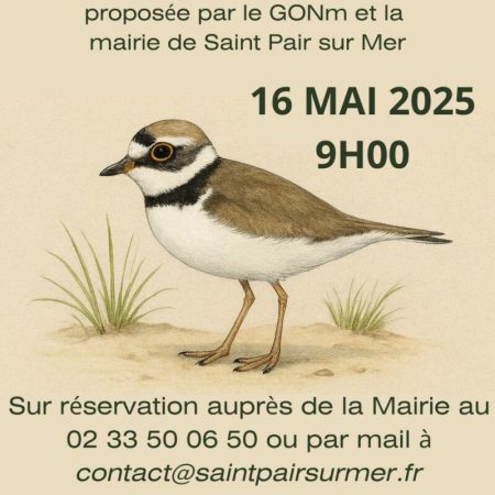 Affiche gravelots